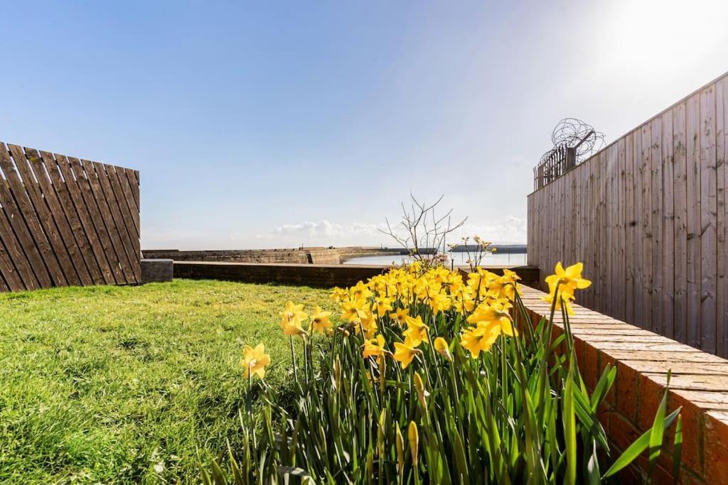 Stunning Ground Floor Hartlepool Marina Apartment Eksteriør billede